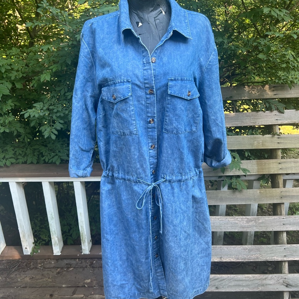Given Kale Blue Denim Shirt Dress